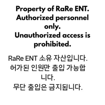RaRe ENT — LYXE 데뷔 브이로그  