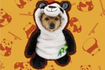 Dog Panda Studio