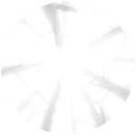 A Nest