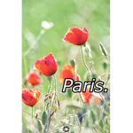 Paris.
