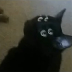 blac-kat