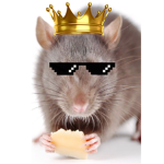 THE MIGHTY RAT CLAN
