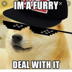 Yourlocalfurrieseverything