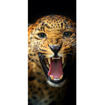 HuntersTigers