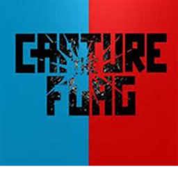 Capture The Flag!