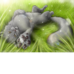 FurClan (Warrior Cats)