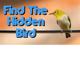 FIND THE SECRET HIDDEN BIRDS! [Read Desc]