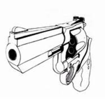 Charlestown Gun Store