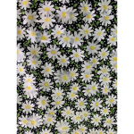 Tamia’s Daisies