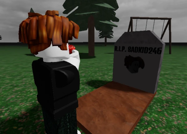 RIP SADKID246😢