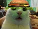 Pls I want robux