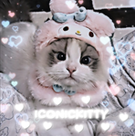 ICONICKITTY