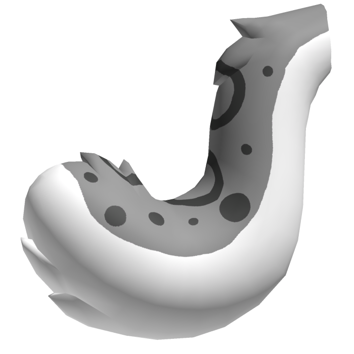 Leopard Tail