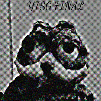 YTSG FINAL
