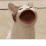 Vou doar robux em um dia lol lol uwu