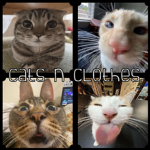 cats n clothes