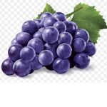 The Grape Group