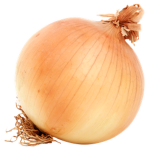 | Onion Productions |