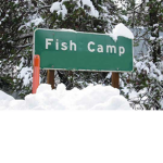 Camp Fish