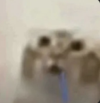 جيش الاوتاكو