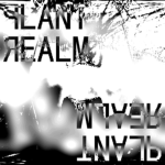 the plant realm