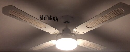 DESTROY ALOT OF CEILING FANS!!!!!!!!!