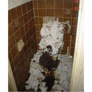 toilet es t