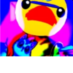 duckyboy concert!