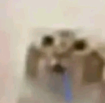 Teamkeid