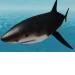 Stranded(Preview) icon