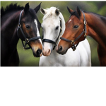 Adopt me super trading group