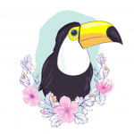tucan team