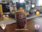 Beans and a duck