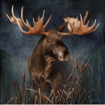 MakerMoose Games