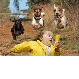 Run, Run, Run For Your Life!