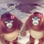 Kim and Jess