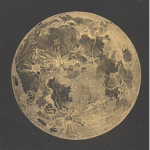 Moonlight Gowns