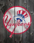 Studio Yankees