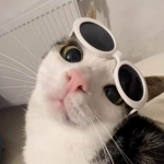 Fun and cool Hangout