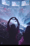 T.S tour