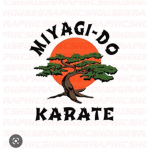 Karate fans and cobra kai fans