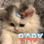 bаby