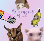 The Meme Cat Squad