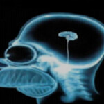 R . U . N . TYCOON!!!