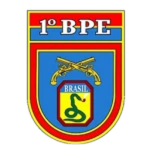 Bope {Batalhão de forças especiais}
