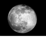 The Moonlight Gang