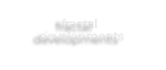 fractal developing