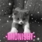 •MIDNIGHTT•