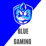 Blue gaming fan club