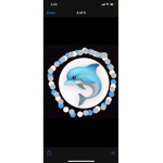 Dolphin gymnastics center